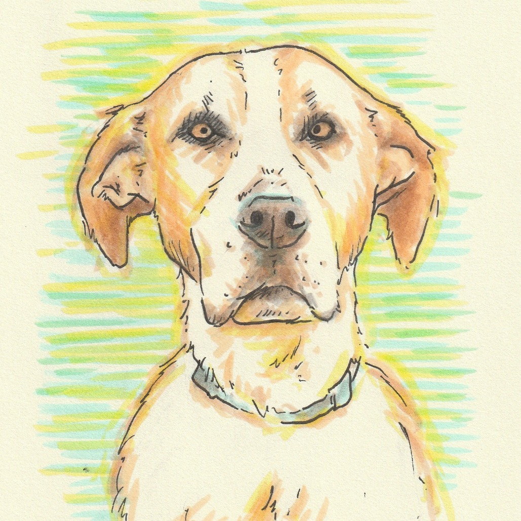 Junie, photo 18
