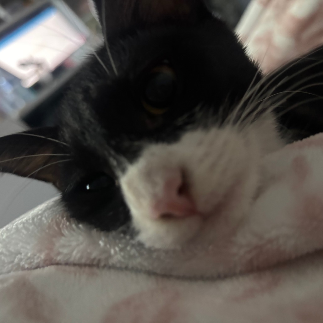 Lillian, photo 8