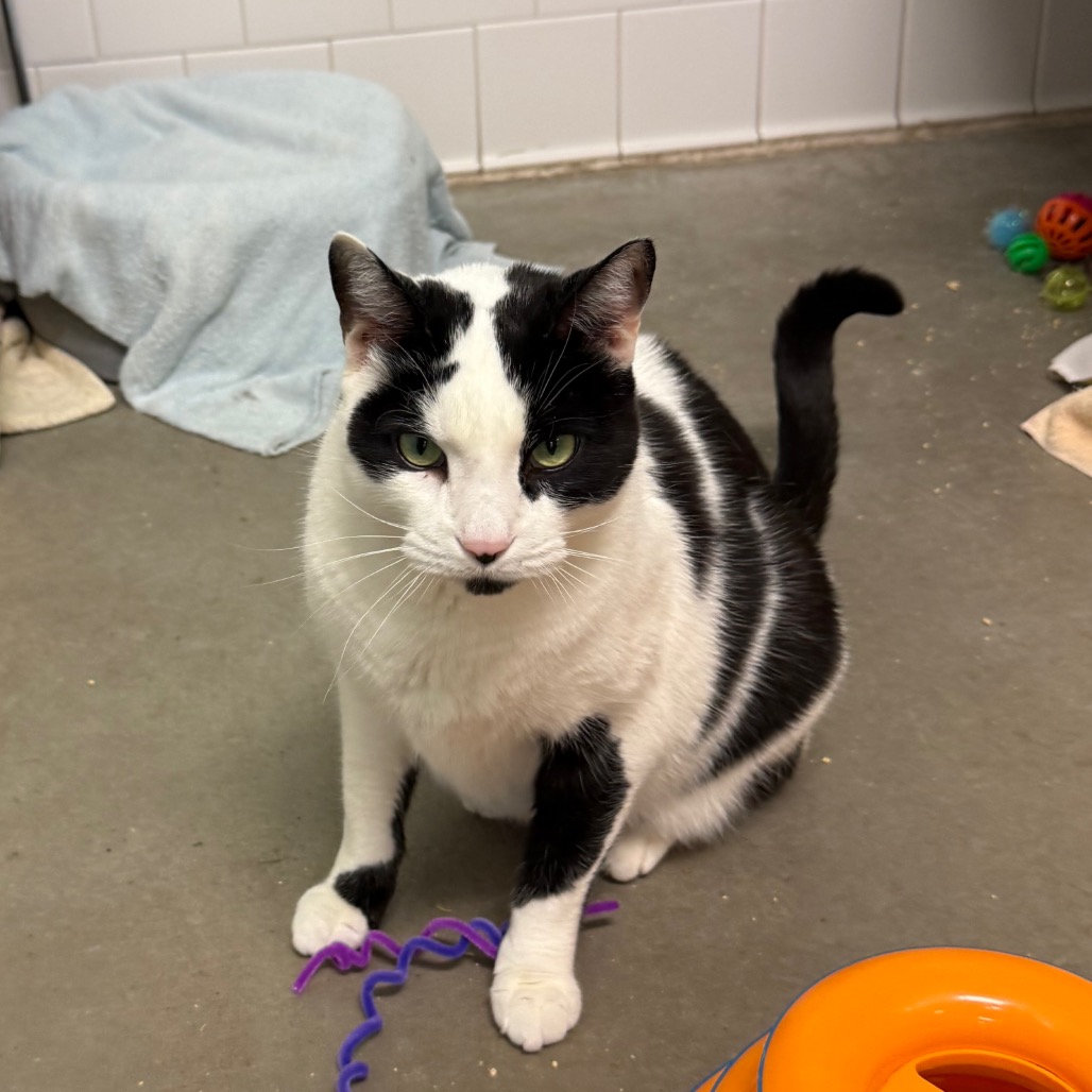 Photo of QZ and Freddy 16