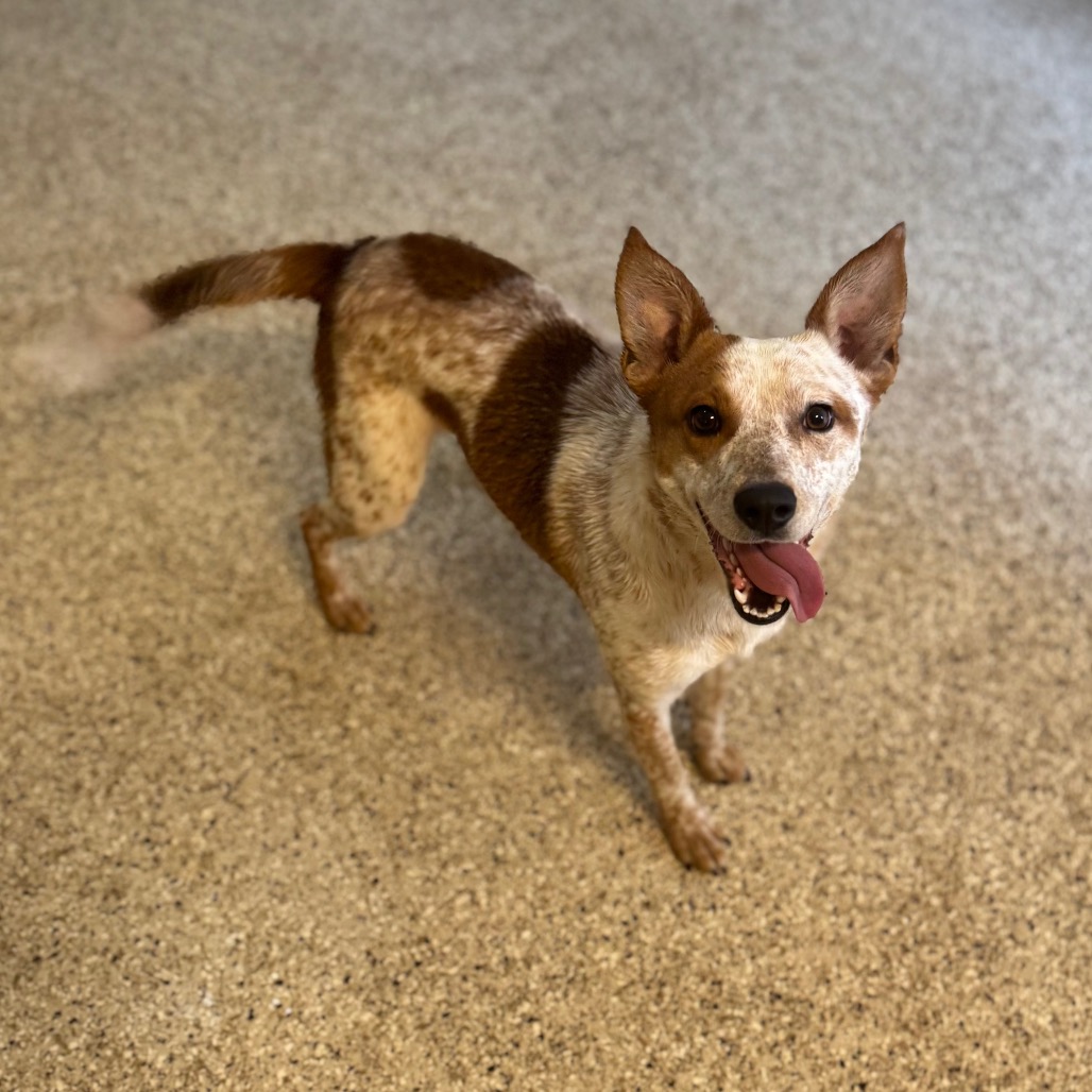 Valorie — thumbnail 2