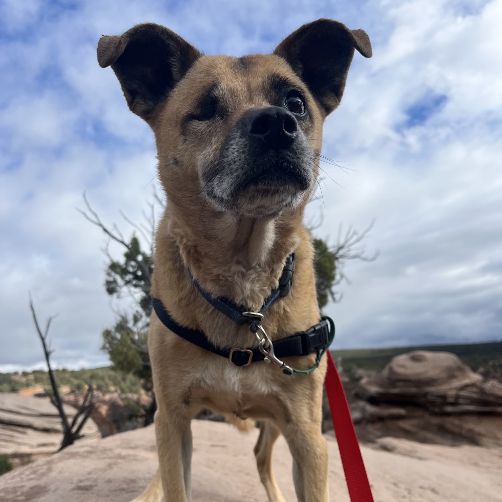 LuLu, photo 7