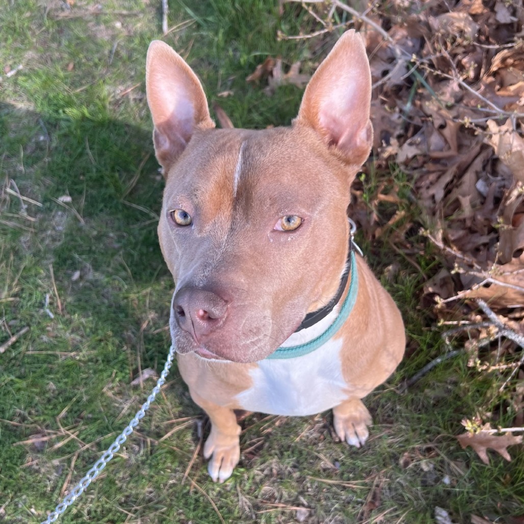 F06b8ec411af67a7da4a0cbccfe45c3b jpg f06b8ec411af67a7da4a0cbccfe45c3b-jpg