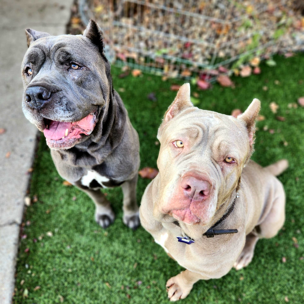 Murdock — thumbnail 5