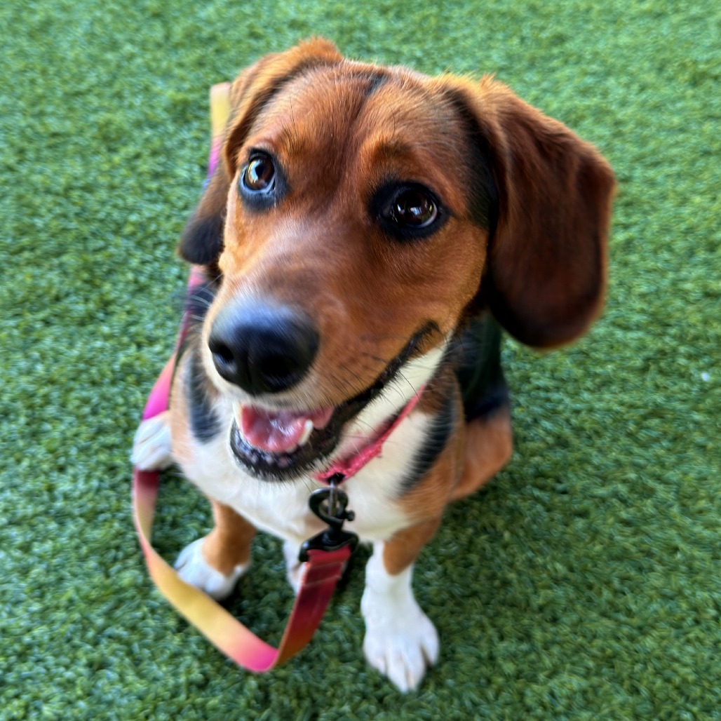 Photo of Annie 3