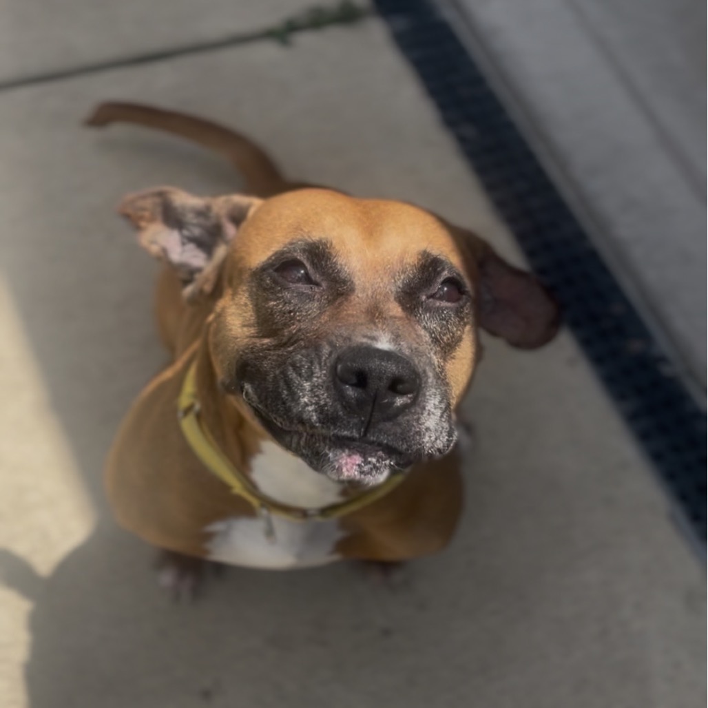 Betty