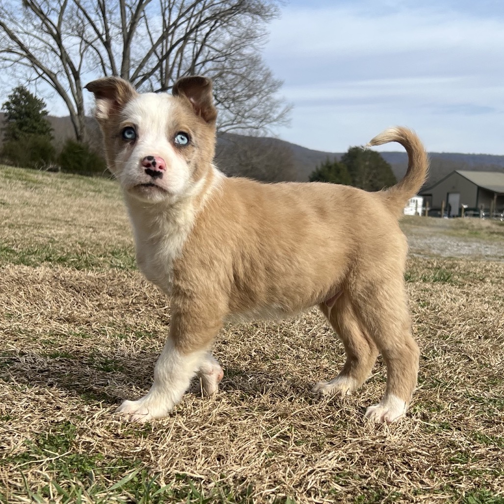 Haymitch — thumbnail 2