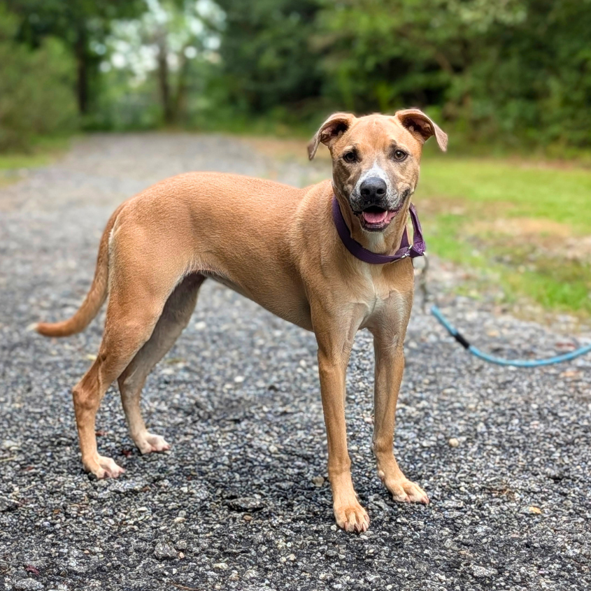 Francesca 12-1724, photo 15