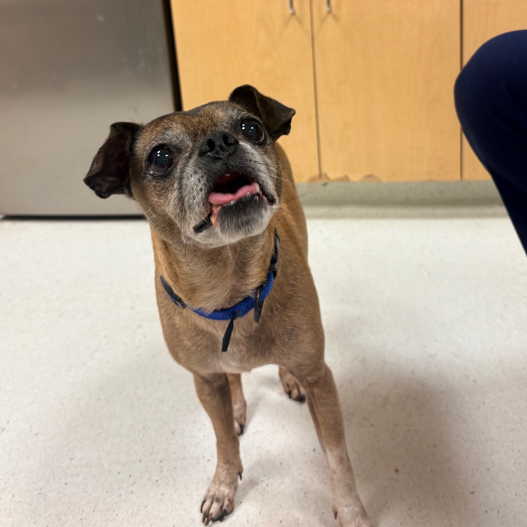 Frankie, additional photo