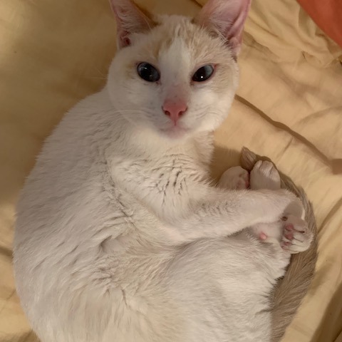 Photo of Bernadette