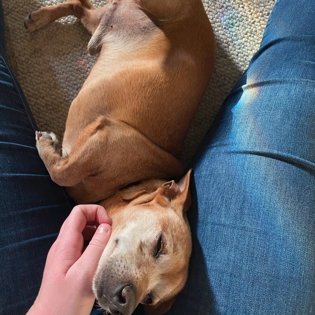 Cosmo, additional photo