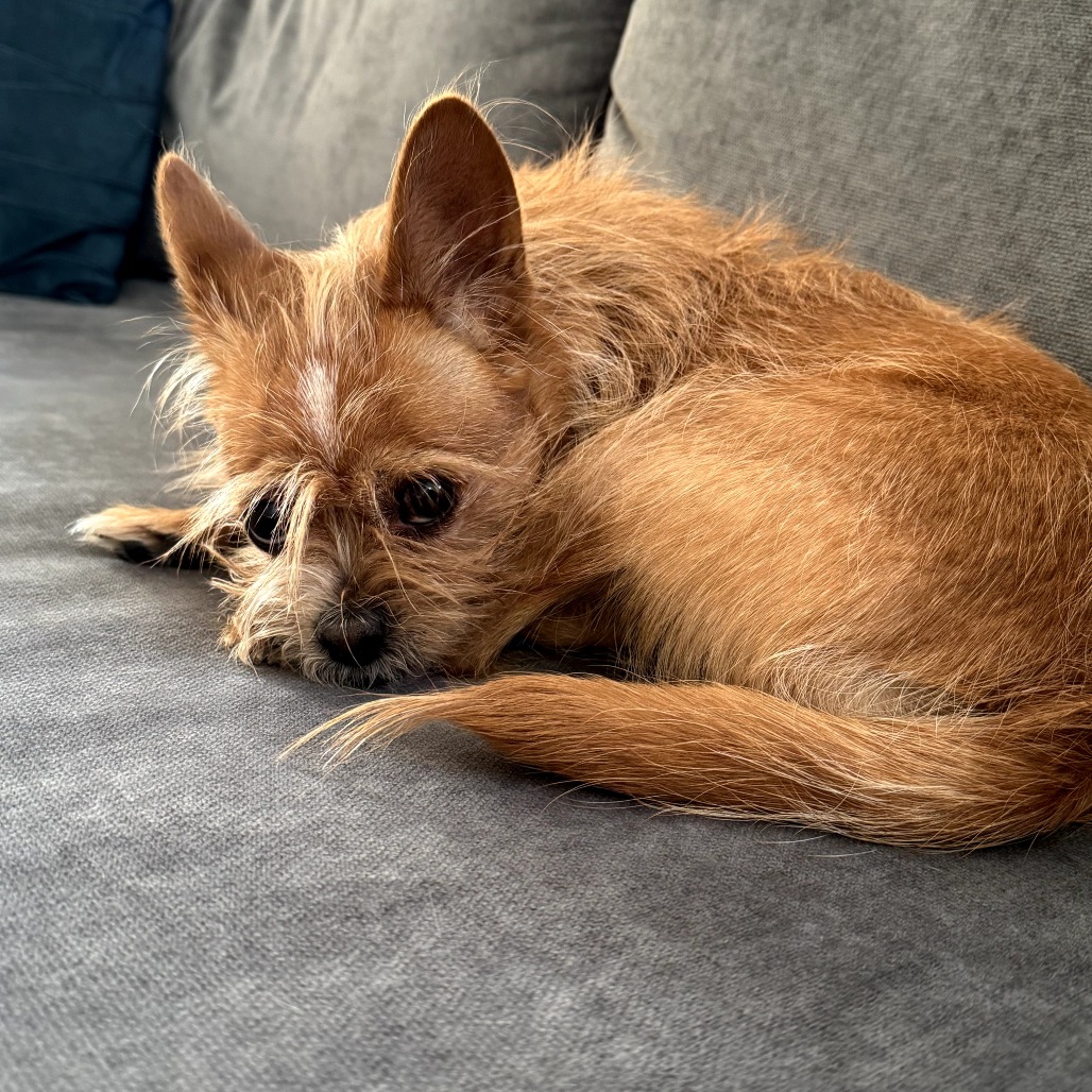 Bubbles — thumbnail 3