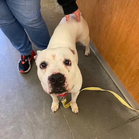 Photo of Betty White 11