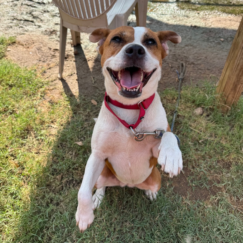Daisy, additional photo
