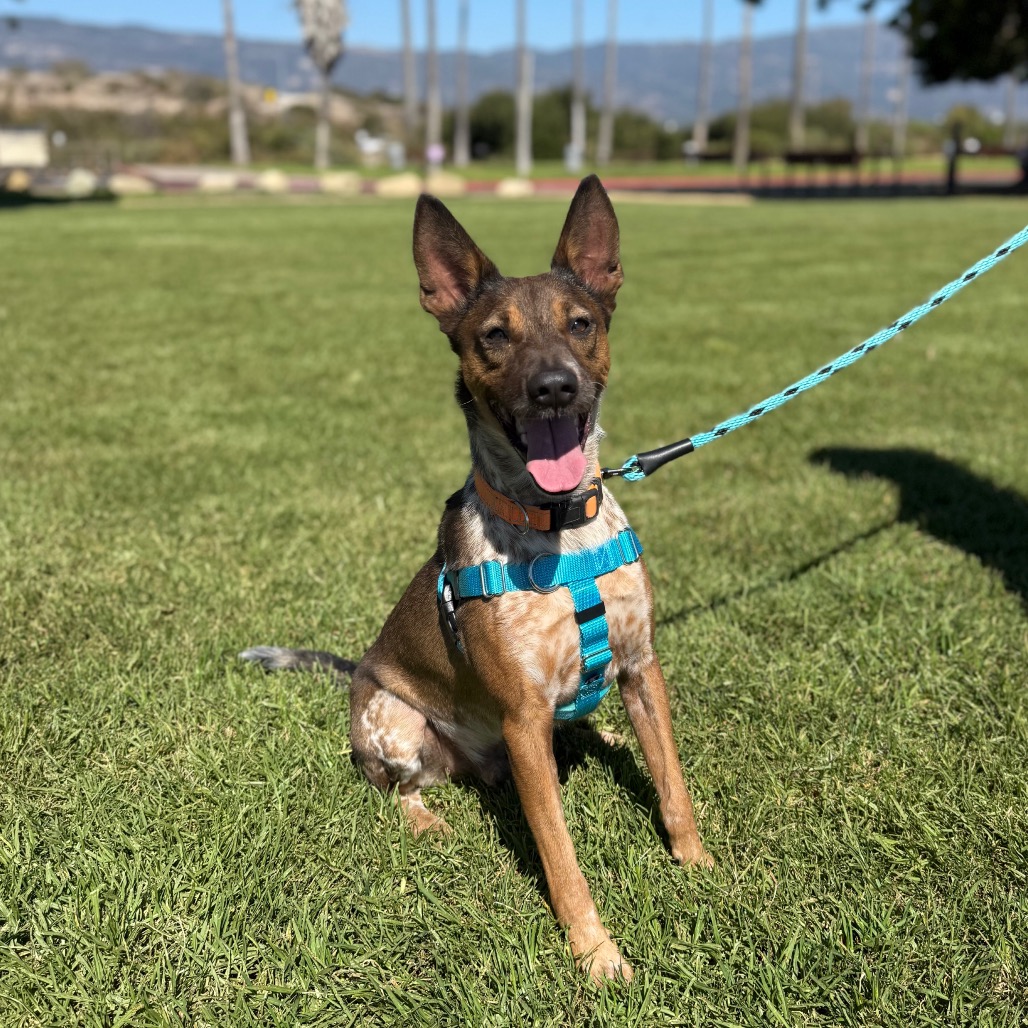 Cash, photo 22
