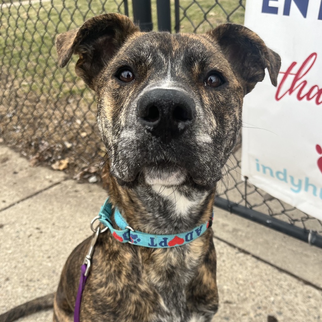 Lucky — thumbnail 8