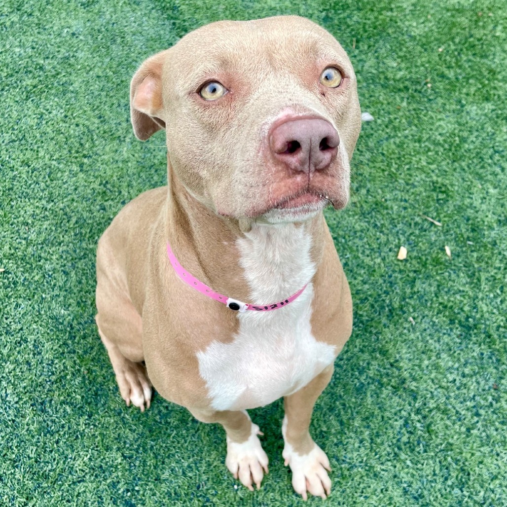 CASSIDY — thumbnail 4