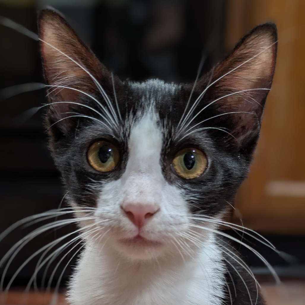 Dori