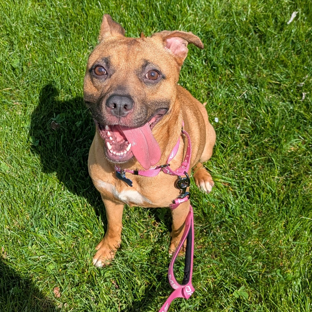 2c3265a78bb22815dfc1e26f14f678b2