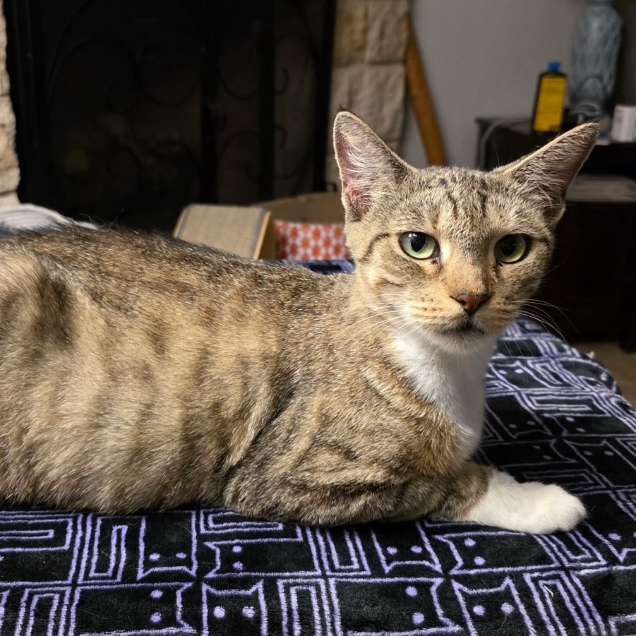Delilah