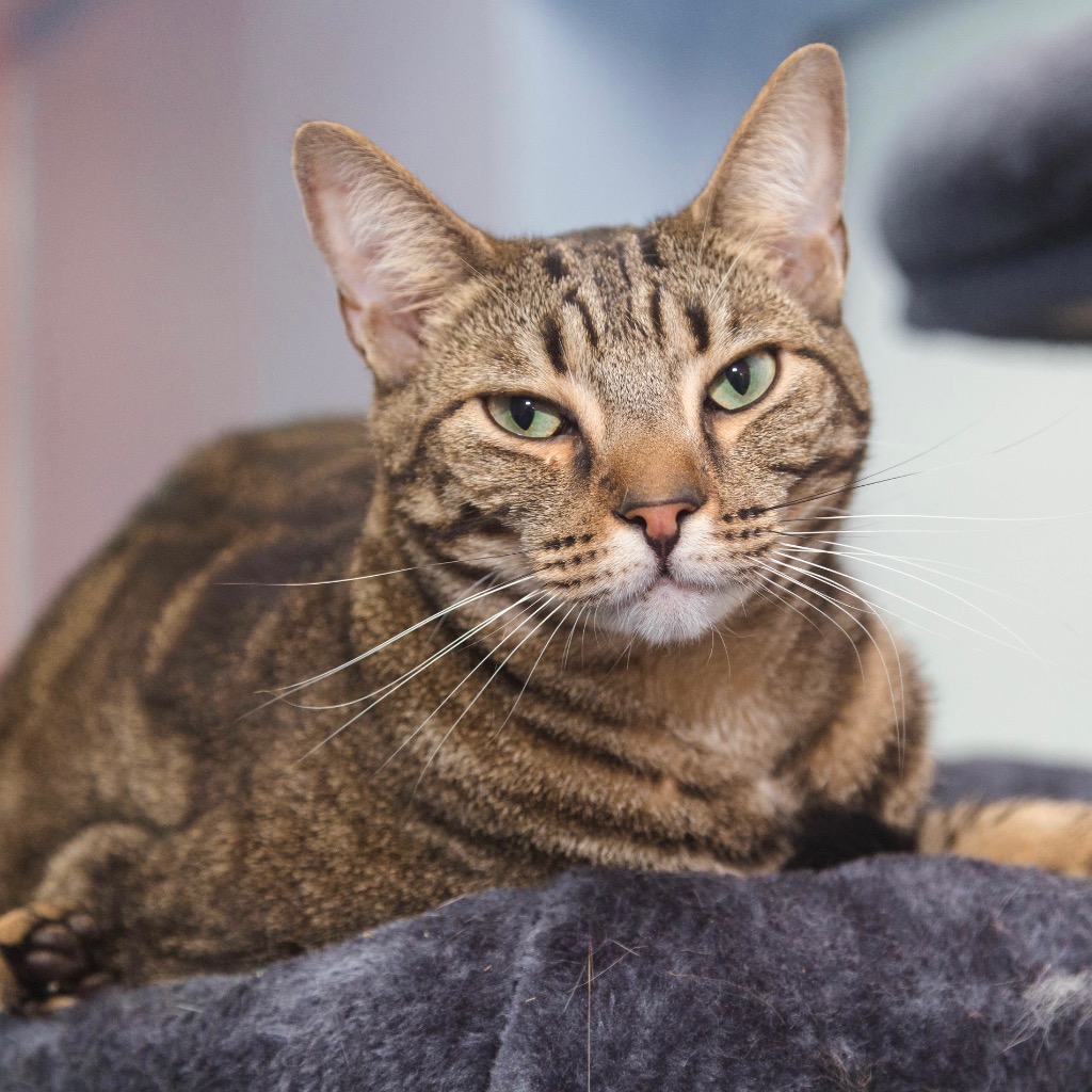 Another portrait of Jax