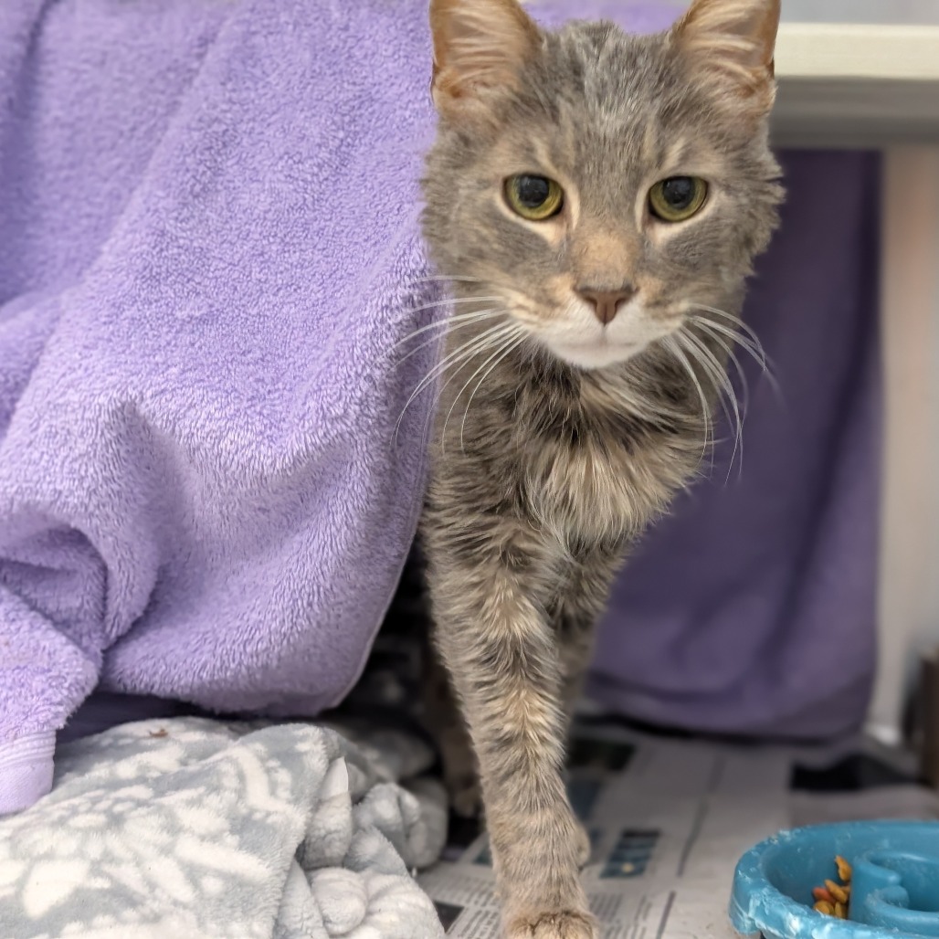 Photo of Oliver 3