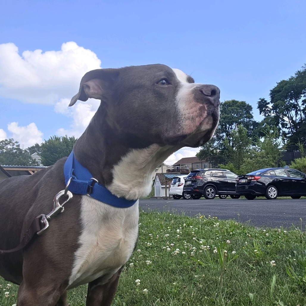 Photo of Prince 12