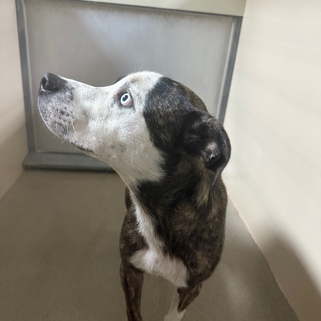 Kennel#23's preview photo