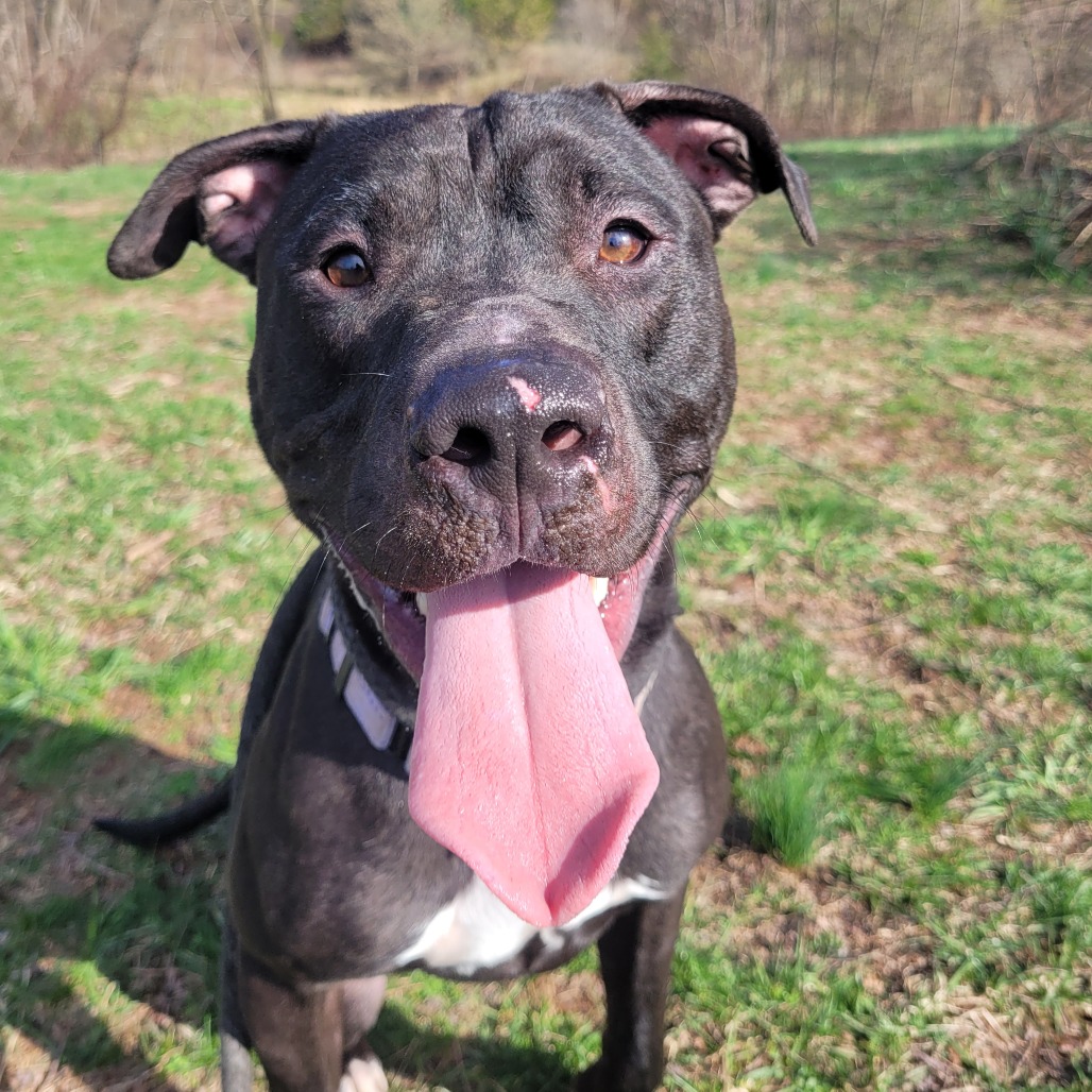 49769bf3935d6a58f059ddf398f79a7a