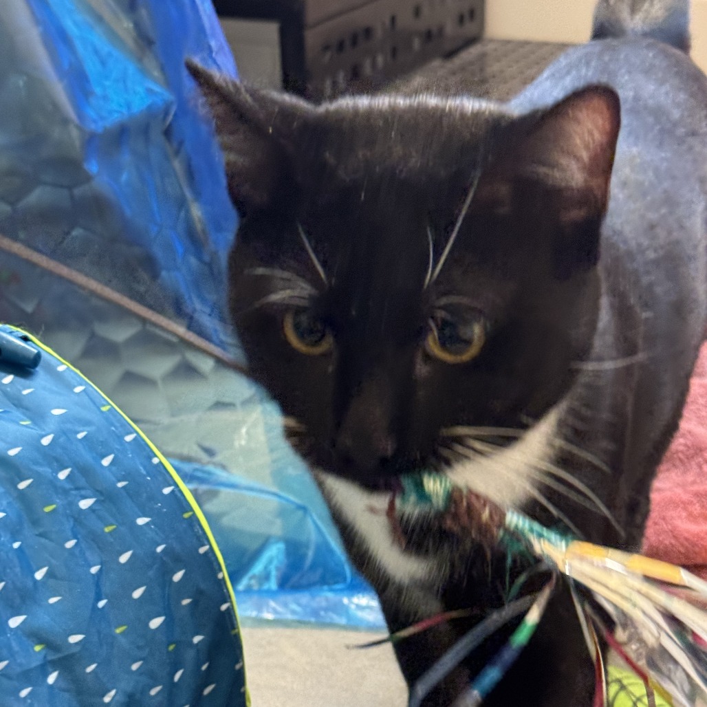 Photo of Ernie 9
