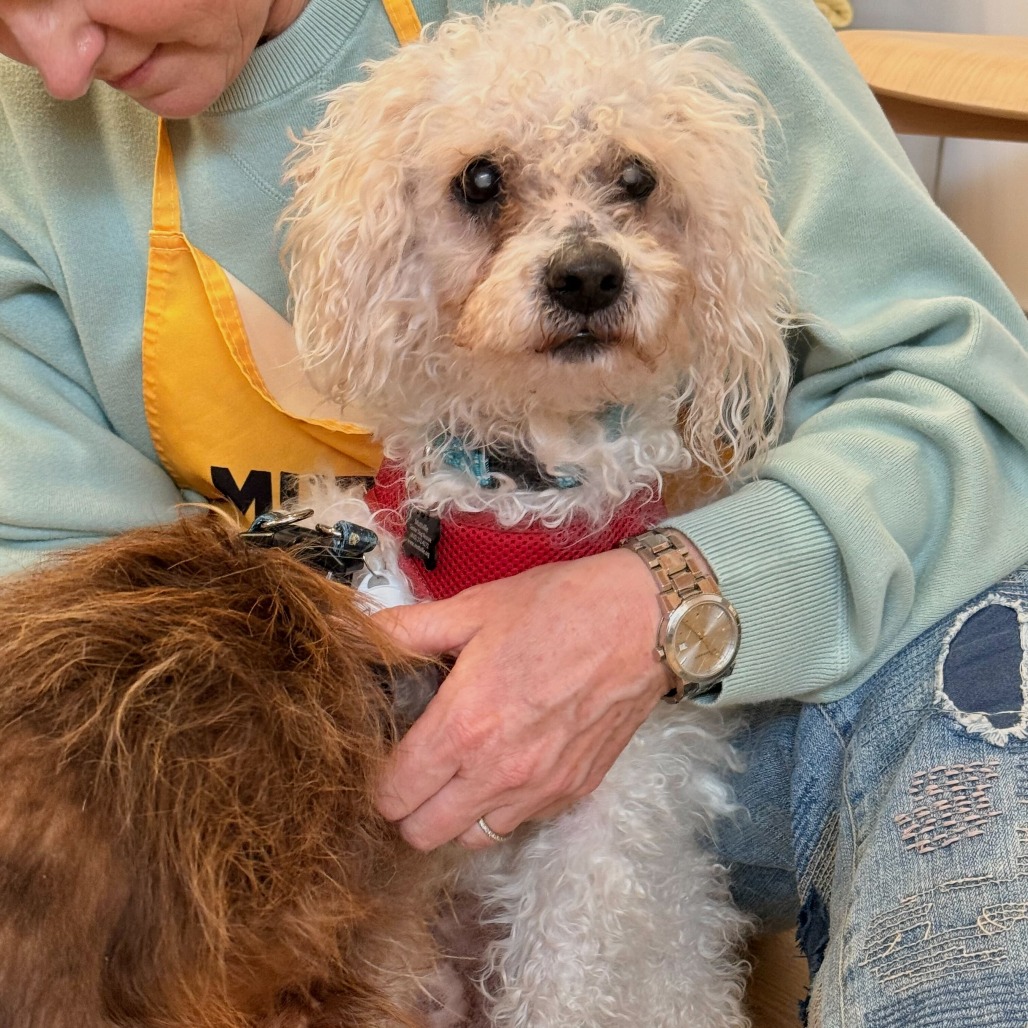 Silverstone 13889 — thumbnail 3