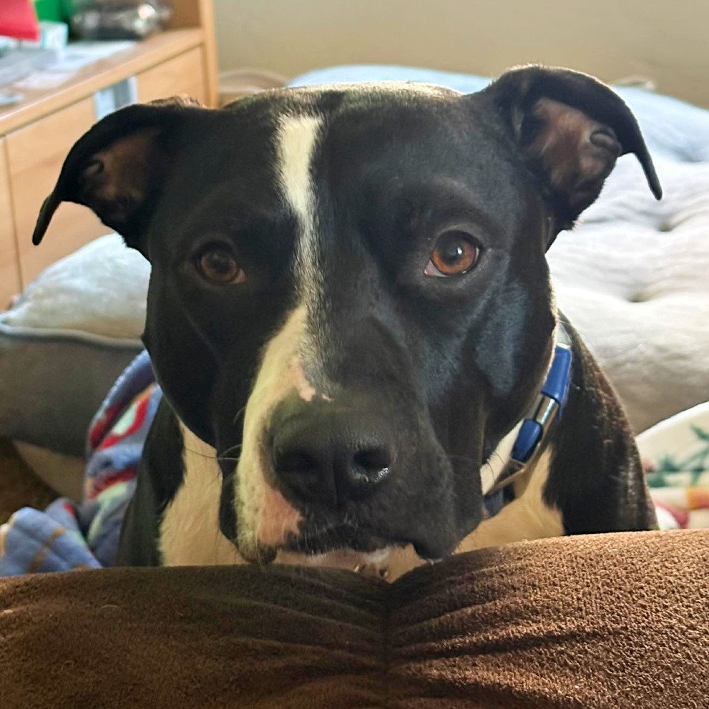 Photo of General Tso 92