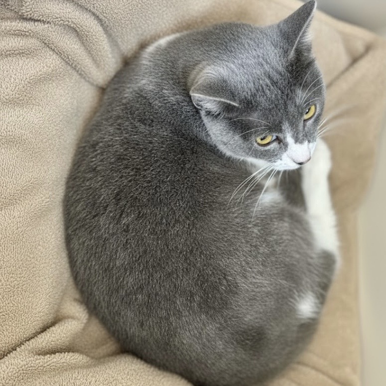 Mister Ralph — thumbnail 8