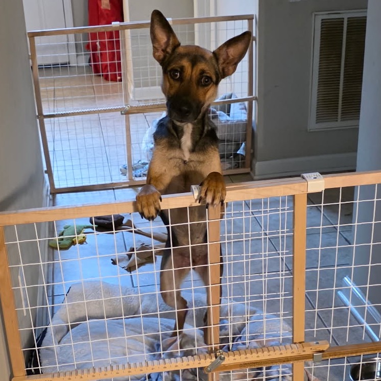 Gloria — thumbnail 4