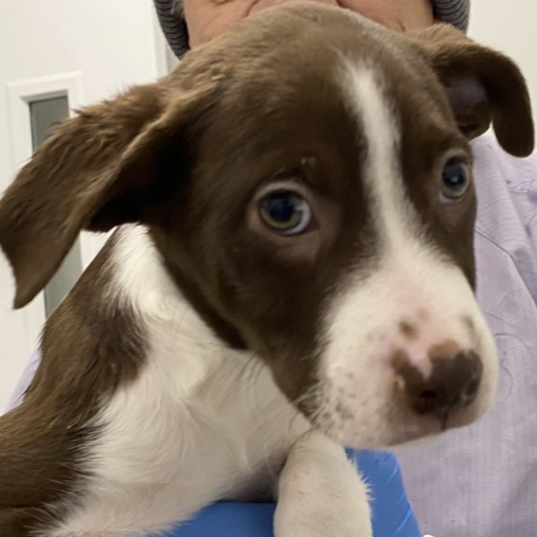 Kenny — thumbnail 2