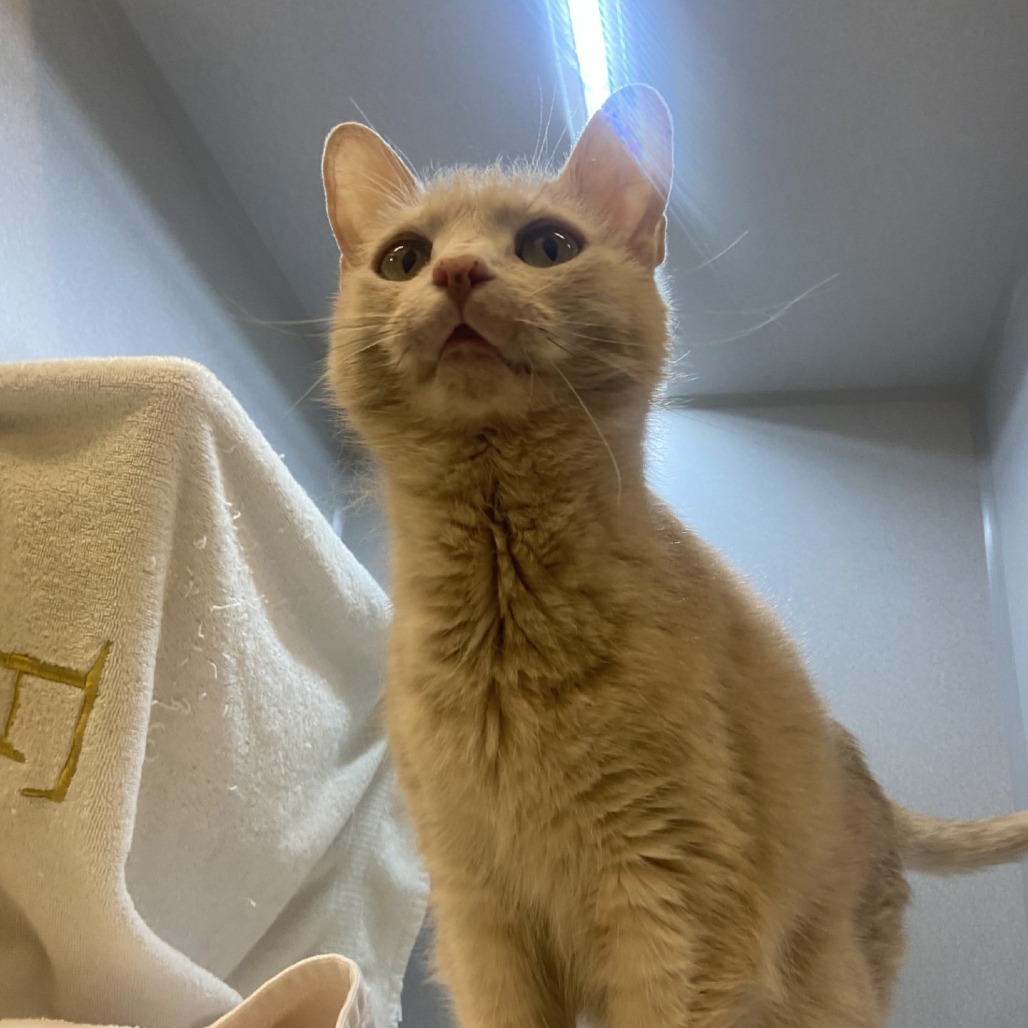 Photo of Gus 5