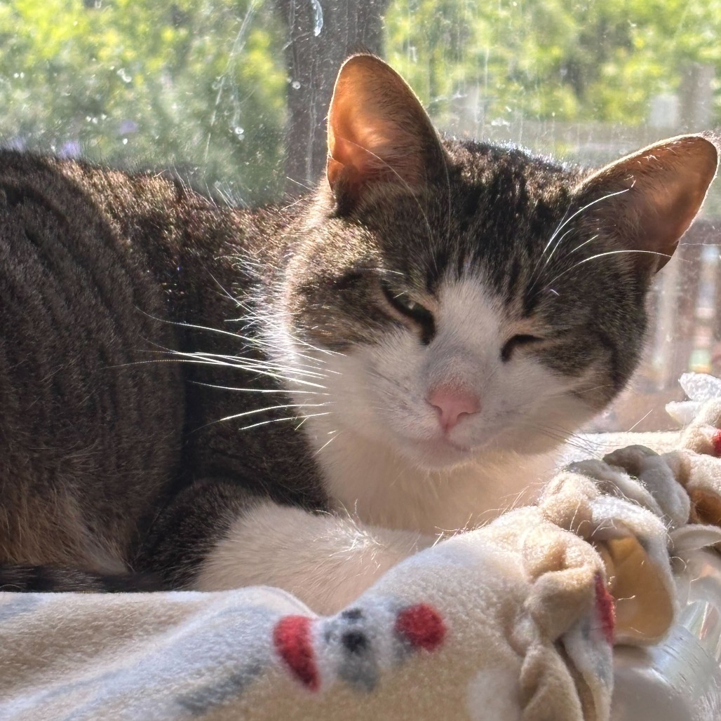Gigi, photo 5