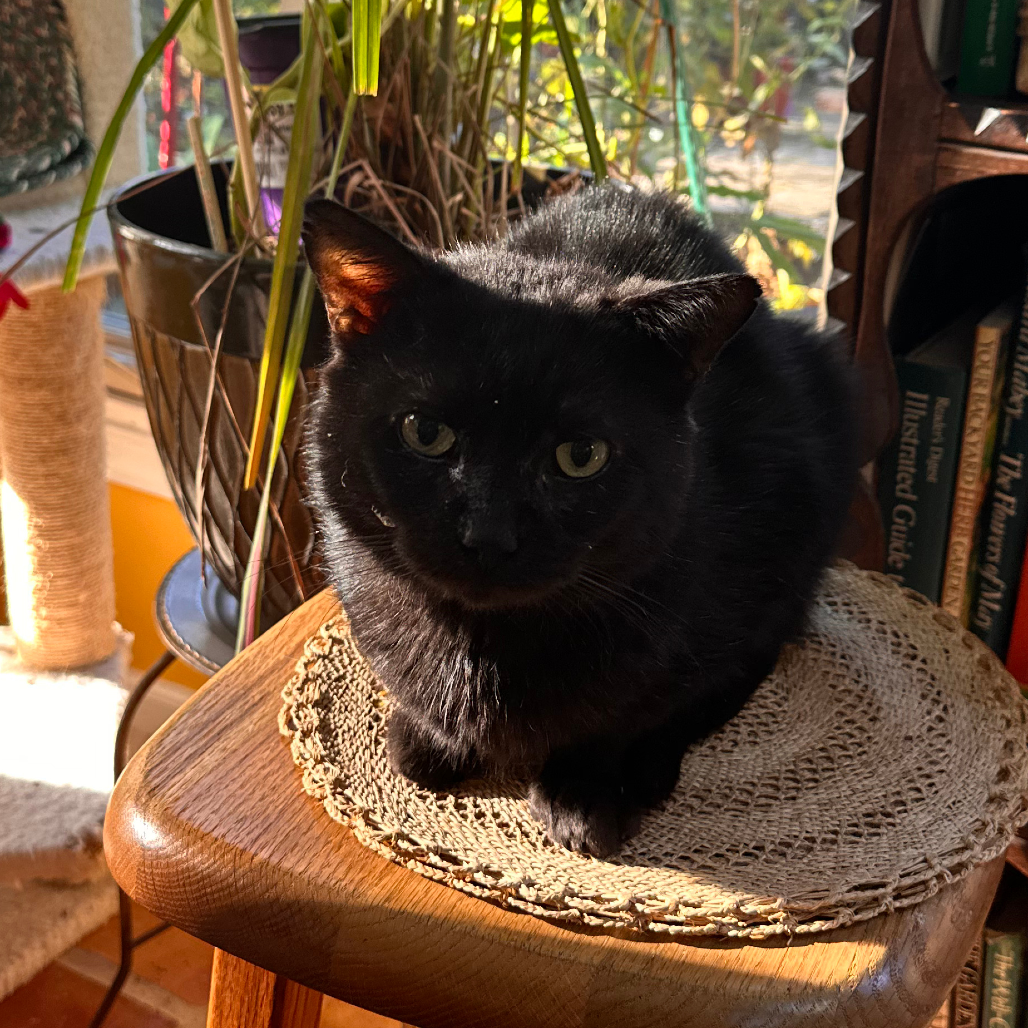 August — thumbnail 2