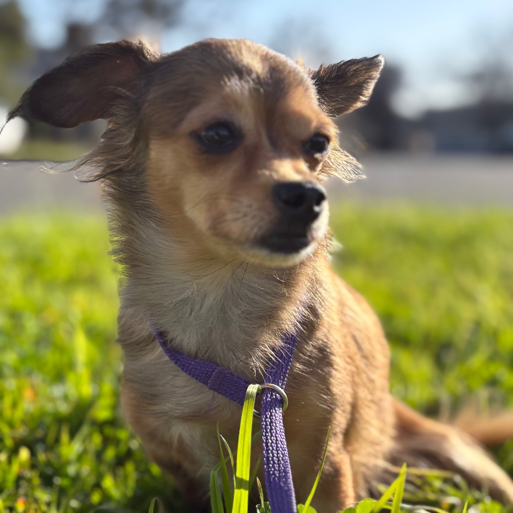 Gabby — thumbnail 5