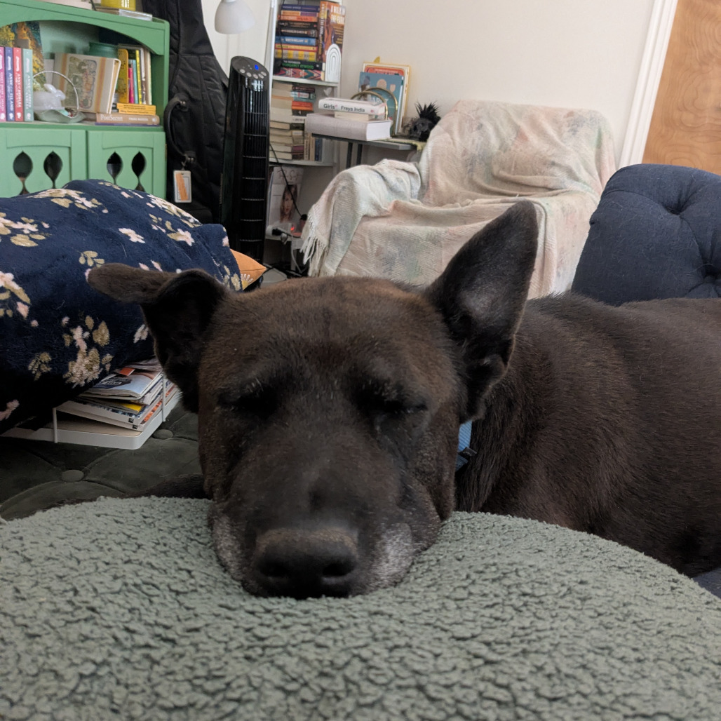 Zuzu, photo 13