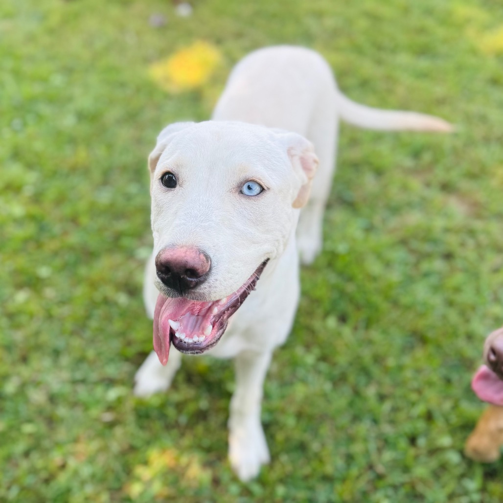 Freya — thumbnail 3