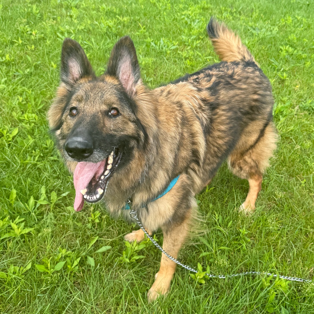 Frieda