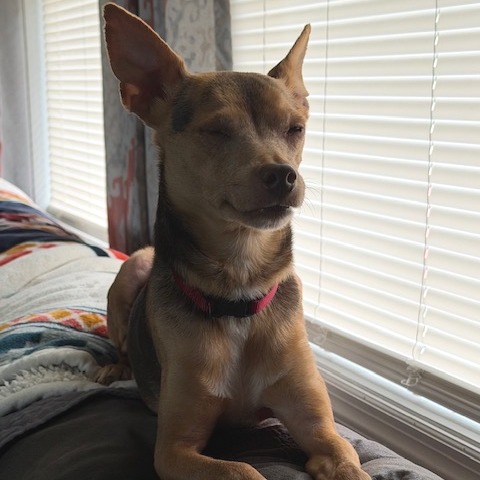 Jack Jack, photo 4