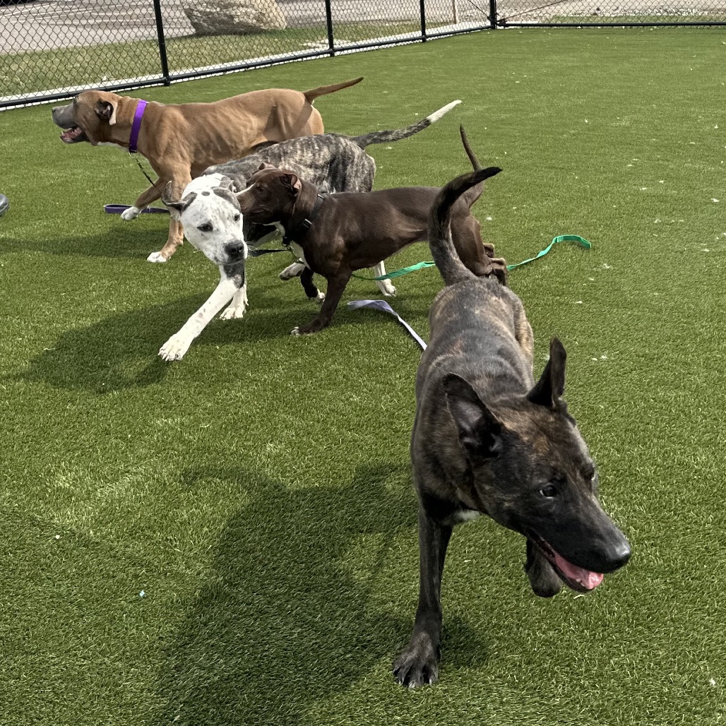 Sasha — thumbnail 5