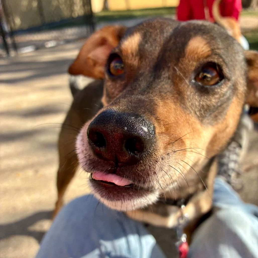 Max
