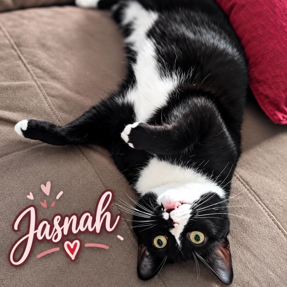 Jasnah, photo 5