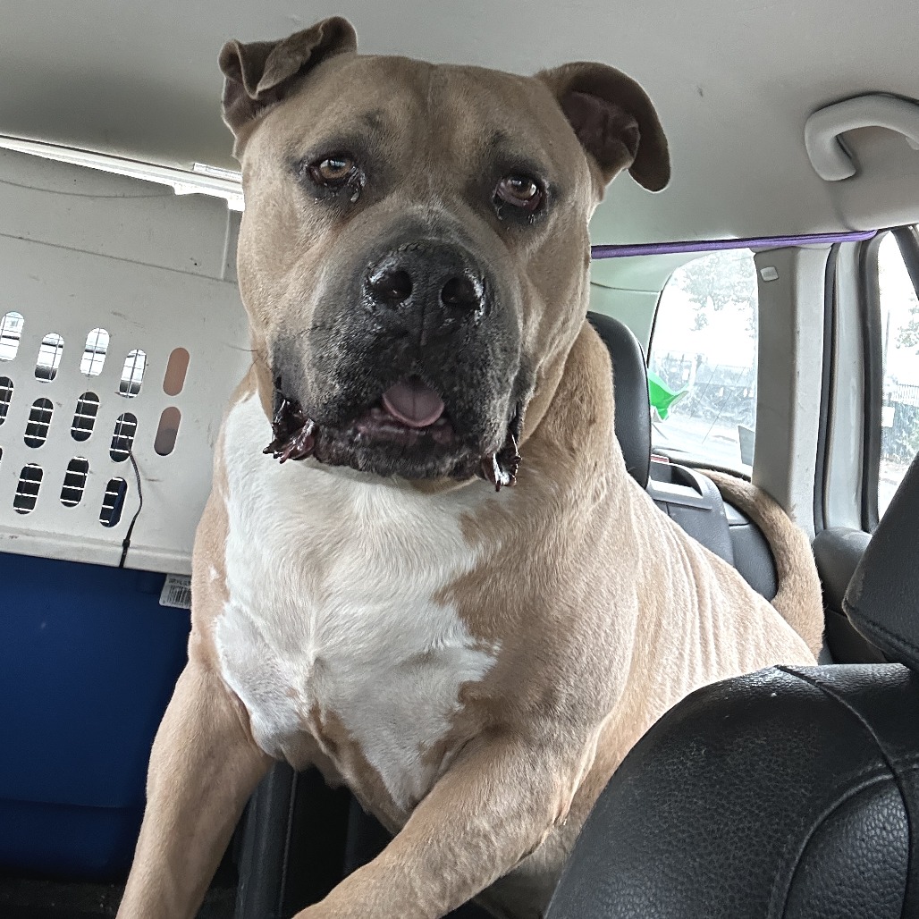 Blue — thumbnail 3