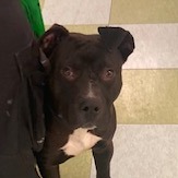 Barnacle — thumbnail 2