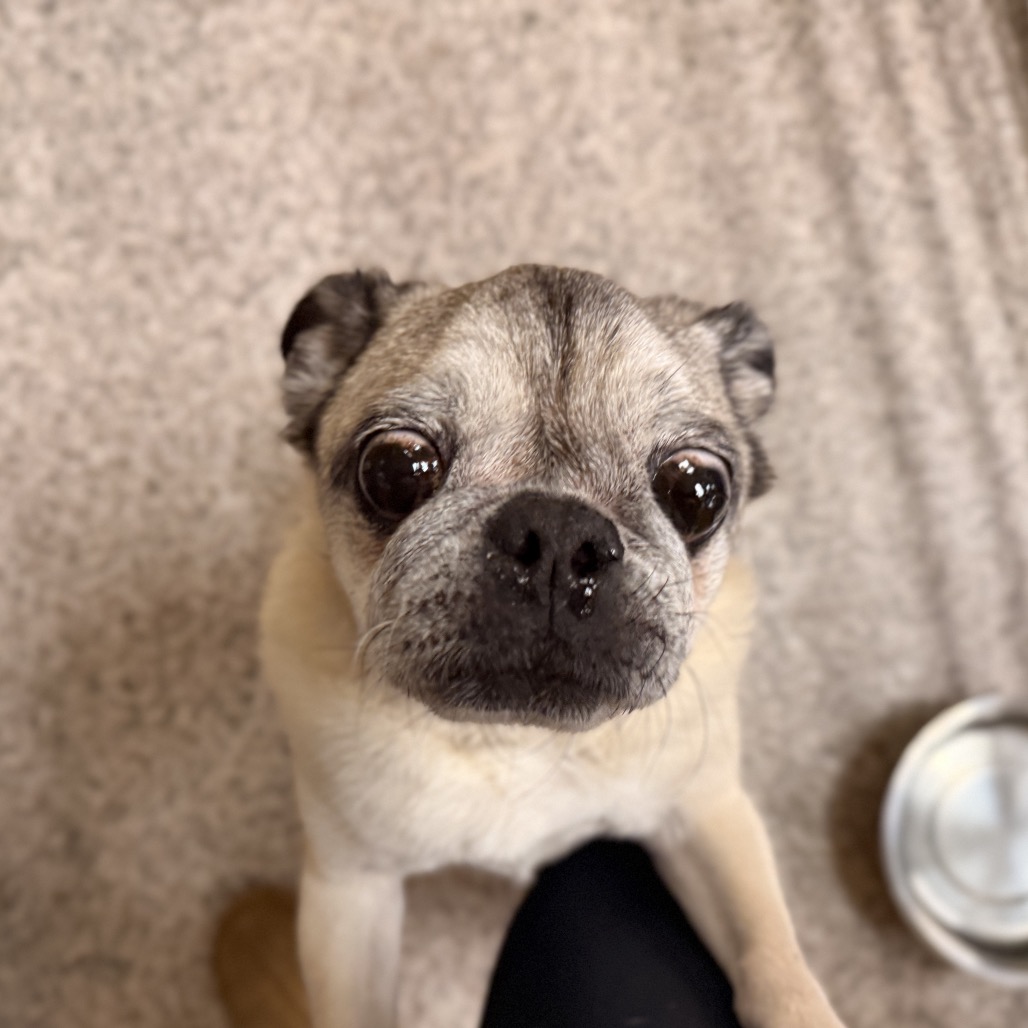 Bohdi (JA26-40), photo 19