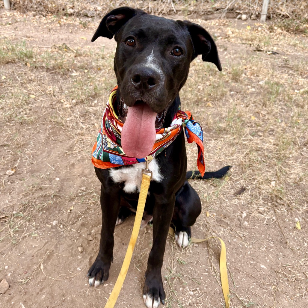 Rak — thumbnail 11