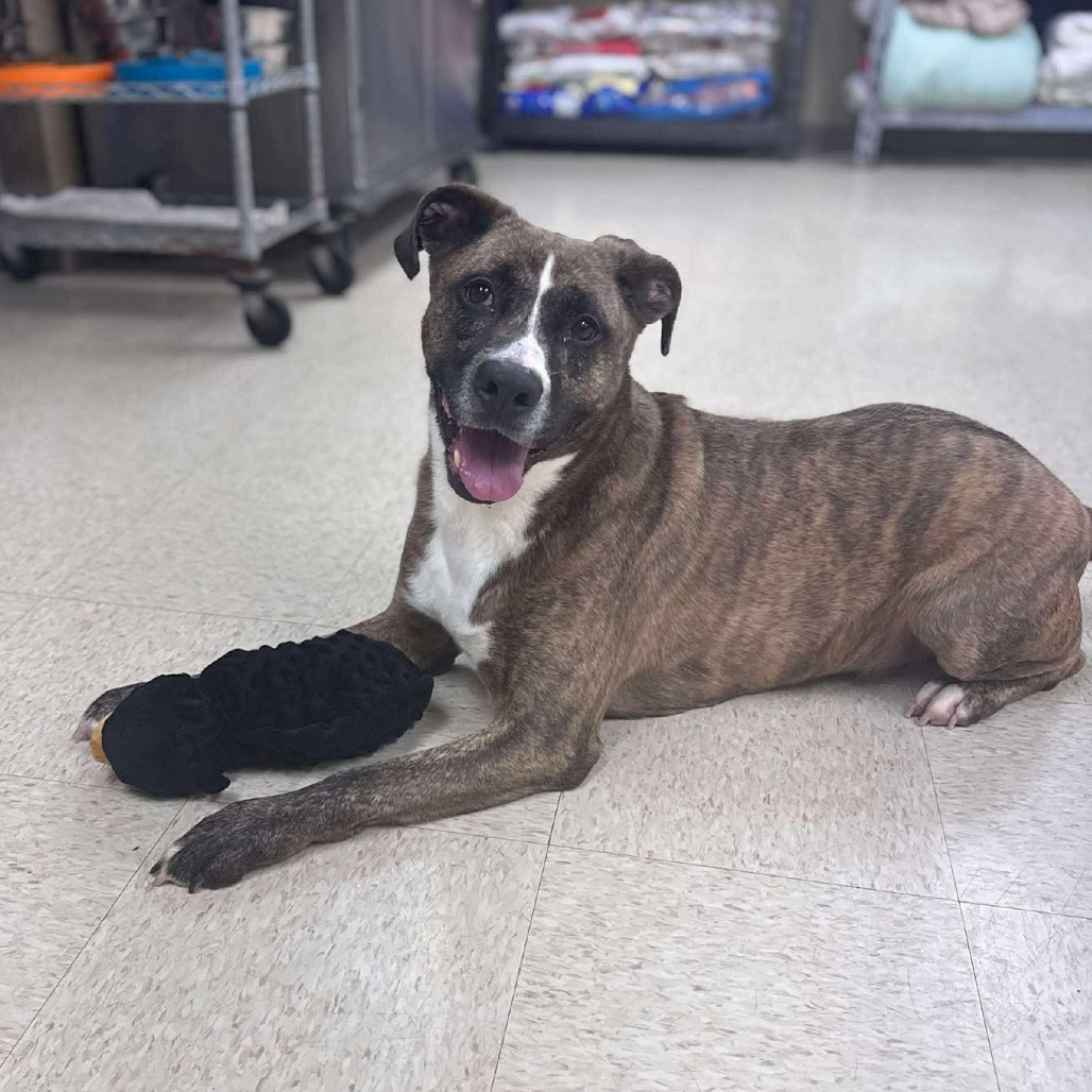 Mash — thumbnail 4